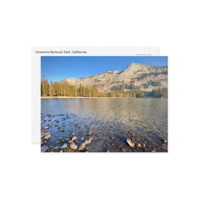 Postal Postcard - Parque Nacional Yosemite (Anverso/Reverso In Situ)