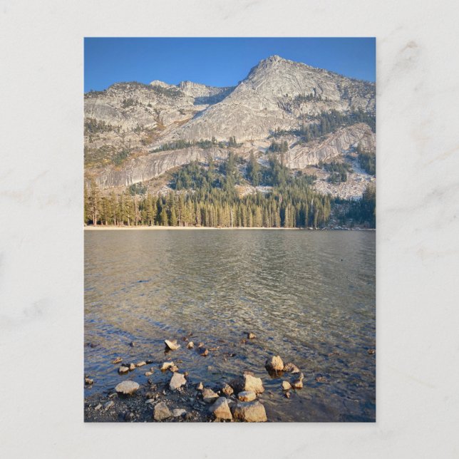 Postal Postcard - Parque Nacional Yosemite, California (Anverso)