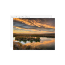 Postcard - Parque Regional Coyote Hills, Californi