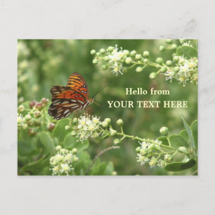 Postal Postcard personalizada "Hello from" de la mariposa