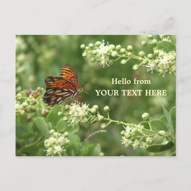 Postal Postcard personalizada "Hello from" de la mariposa (Anverso)