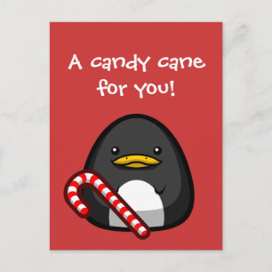Postal Postcard pingüino