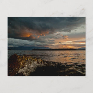 Postal POSTCARD ~ "Pondering the Eternal"