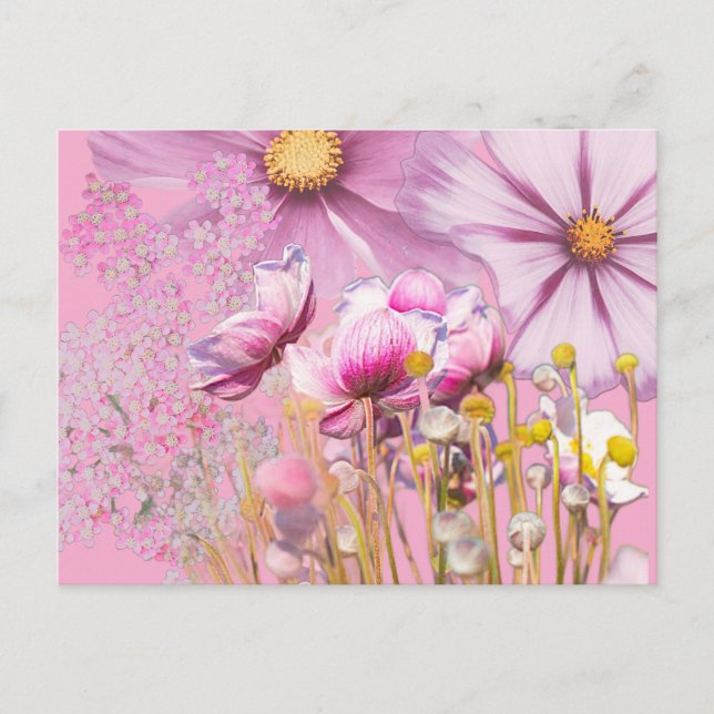 Postal Postcard Postkarte Blumen, rosa (Anverso)
