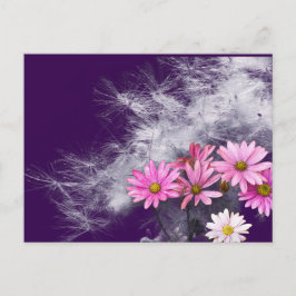 Postal Postcard Postkarte Blumen und Distelsamen