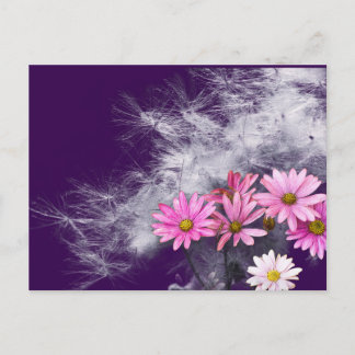 Postal Postcard Postkarte Blumen und Distelsamen