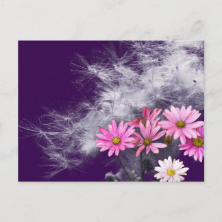 Postal Postcard Postkarte Blumen und Distelsamen