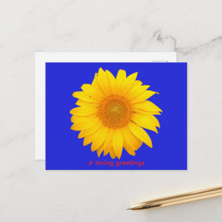 Postal Postcard Postkarte Sonnenblume Liebe Grüße