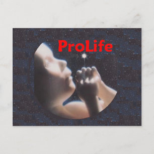 Postal Postcard ProLife