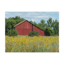 Postcard Red Barn