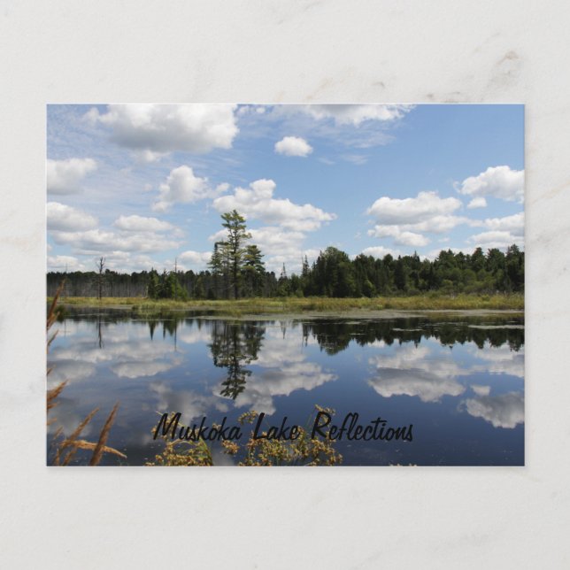 Postal Postcard - Reflexiones sobre el lago Muskoka (Anverso)