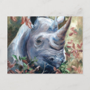 Postal Postcard Rhino