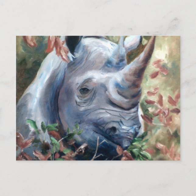 Postal Postcard Rhino (Anverso)