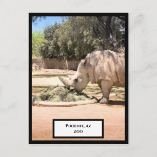 Postal Postcard rhinoceros