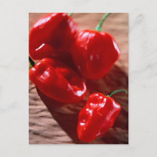 POSTAL POSTCARD ROJO CHILI PEPPERS
