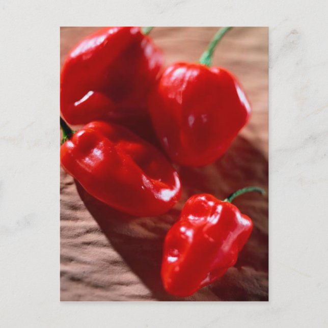 POSTAL POSTCARD ROJO CHILI PEPPERS (Anverso)