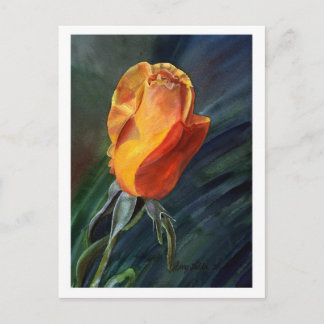 Postal Postcard Rosa