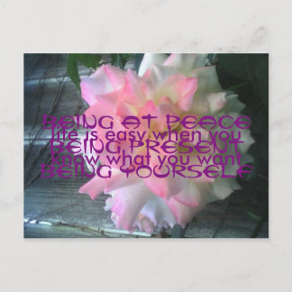 Postal Postcard Rosa de la Paz