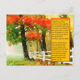 Postal Postcard - Salmo 1:1-3 Bendecido Es El Hombre