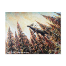 Postcard - Salto del venado