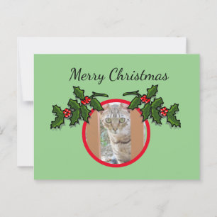 Postal Postcard - Saludo de gatos y Navidades