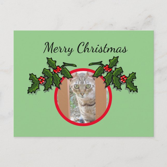 Postal Postcard - Saludo de gatos y Navidades (Anverso)