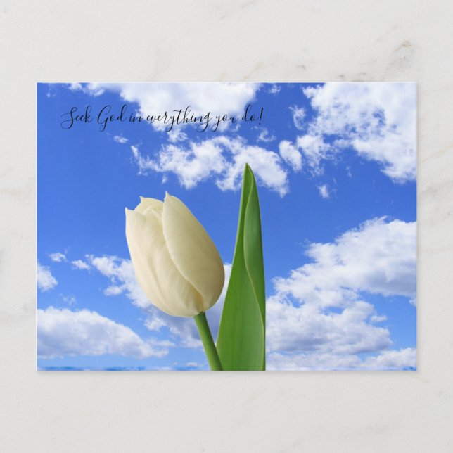 Postal Postcard Seek God White Tulip Blue Sky (Anverso)