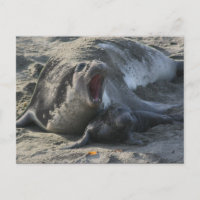 POSTCARD - Sello elefante