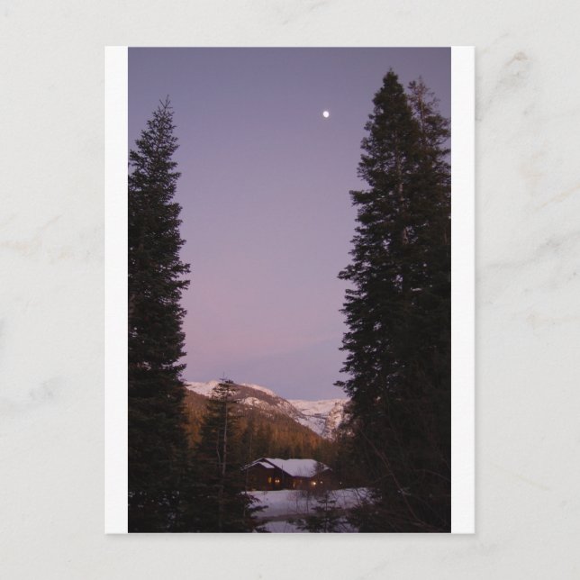 Postal Postcard Sequoia (Anverso)