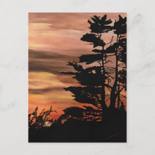 Postal Postcard - Silhouette Sunset