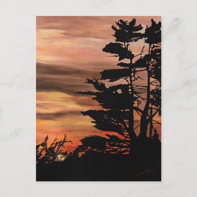 Postal Postcard - Silhouette Sunset (Anverso)