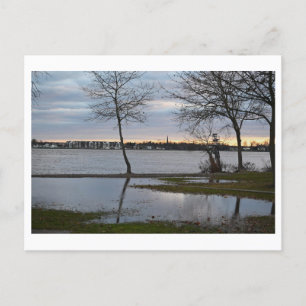 Postal Postcard sobre las reflexiones del parque inundado