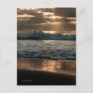 Postal PostCard_splash