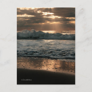 Postal PostCard_splash