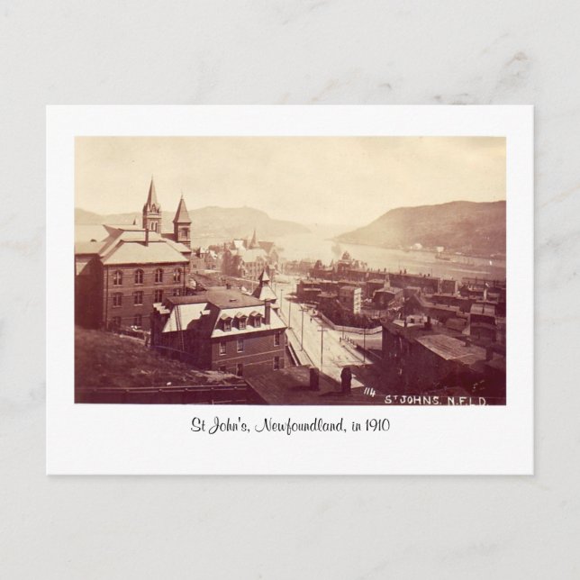 Postal Postcard, St John's, Terranova, en 1910 (Anverso)