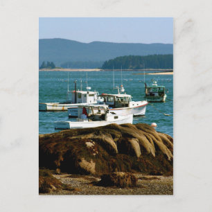Postal Postcard Stonington, Maine