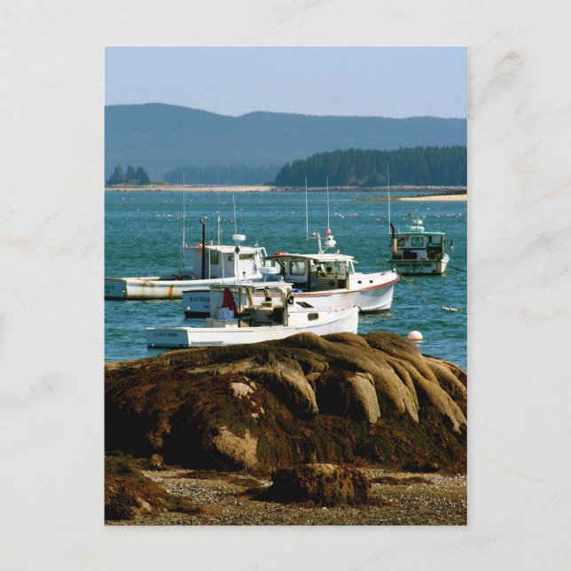 Postal Postcard Stonington, Maine (Anverso)