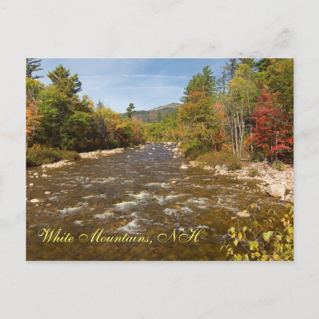 Postal Postcard Swift River NH (Anverso)
