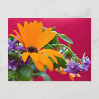 Postal Postcard Tema De Las Flores naranja Y Morada