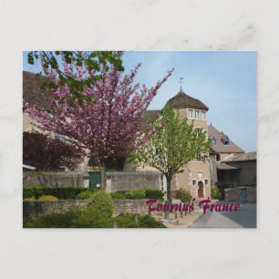 Postal POSTCARD - Tournus Francia