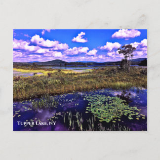 Postal Postcard - TUpper Lake NY