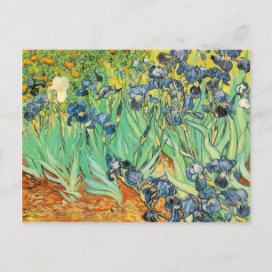 Postal Postcard Vincent van Gogh Irises 1889 Flores azule