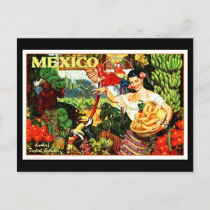 Postal Postcard-VIntage Travel-Mexico 2
