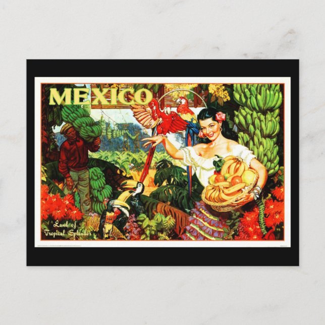 Postal Postcard-VIntage Travel-Mexico 2 (Anverso)