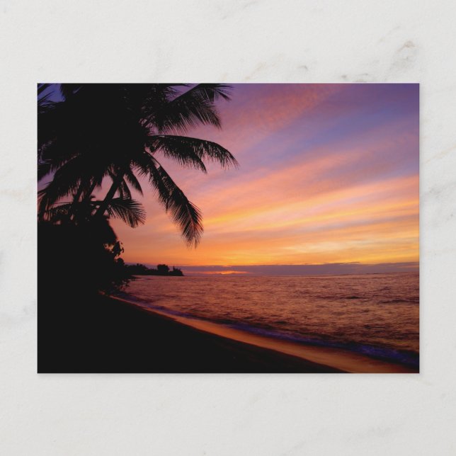 Postal Postcard - Waialua Sunset (Anverso)