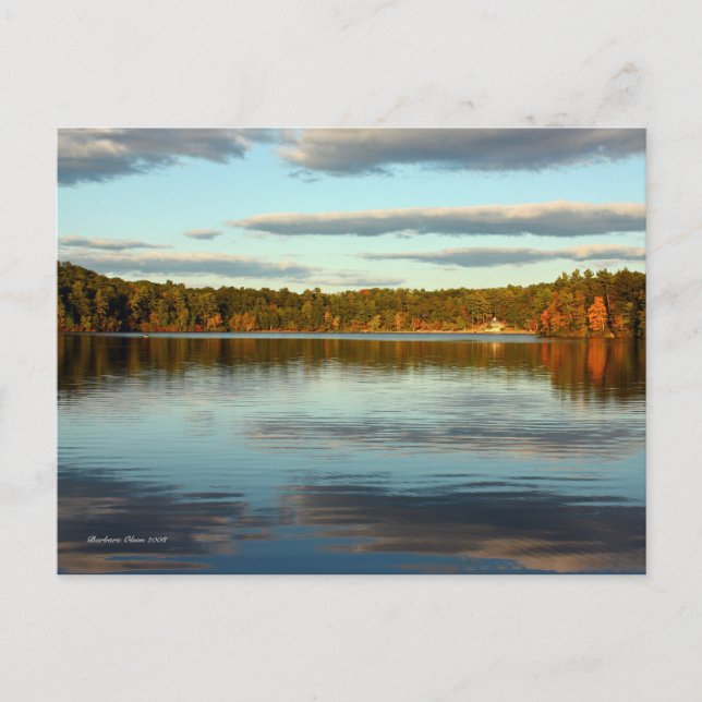 Postal PostCard:Walden Pond (Anverso)