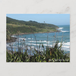 Postal Postcard, Whale Bay, Raglan, Nueva Zelandia