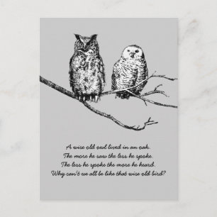 Postal Postcard Wise Owl Wisdom