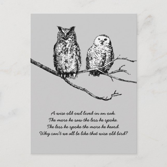Postal Postcard Wise Owl Wisdom (Anverso)