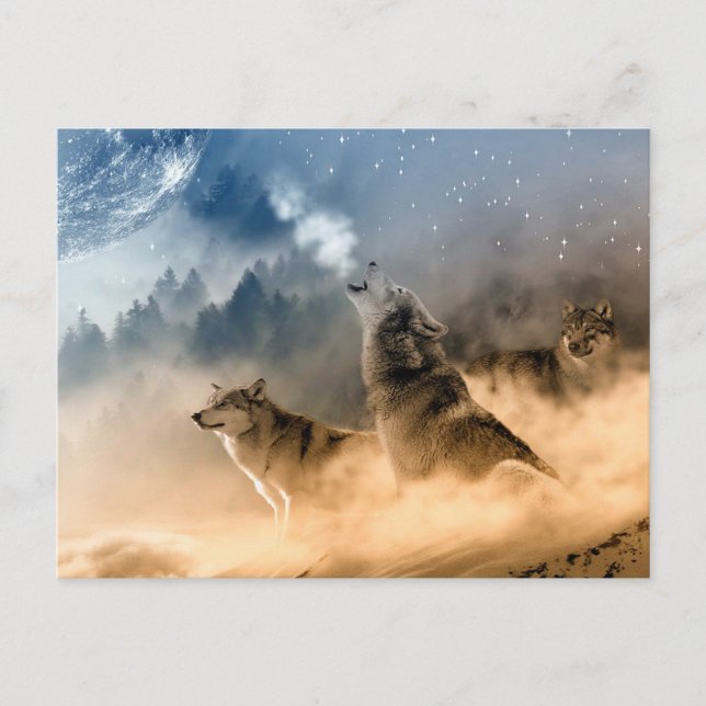 Postal Postcard/Wolves (Anverso)